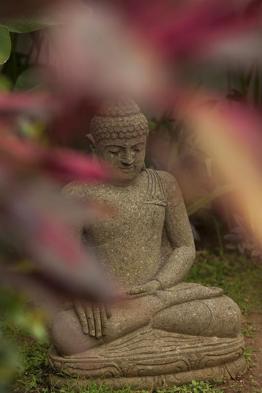 Esterin Villa Ubud Pokój zdjęcie