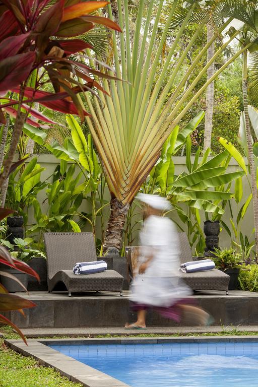 Esterin Villa Ubud Pokój zdjęcie